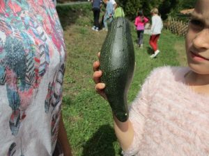IMG_1664
